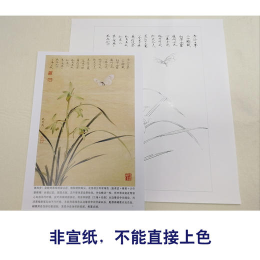 【有步骤、大彩图】李晓明工笔画白描底稿《春兰嬉蝶图》蝴蝶兰花临摹勾线花鸟线稿KB24 商品图2