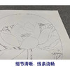 【有步骤、大彩图】李晓明工笔画白描底稿圆形小品《出水芙蓉图》荷花初学者临摹花鸟线稿KC28 商品缩略图3