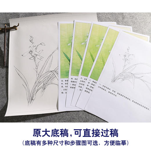 【有步骤、大彩图】李晓明工笔画白描底稿斗方小品《兰花图》初学者高清打印稿KB20 商品图1