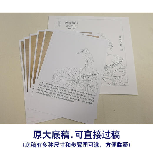 【有步骤、大彩图】李晓明工笔画白描底稿斗方小品《独立寒秋》翠鸟荷花临摹勾线花鸟线稿KB16 商品图1