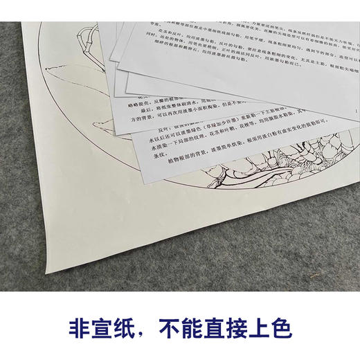 【有步骤、大彩图】李晓明工笔画白描稿小品《卡特兰写真图》兰花临摹勾线花鸟线稿KB02 商品图2