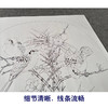 【有步骤、大彩图】李晓明工笔画白描底稿圆形小品《临宋梅竹戏雀图》梅花雀鸟临摹花鸟线稿KC04 商品缩略图4
