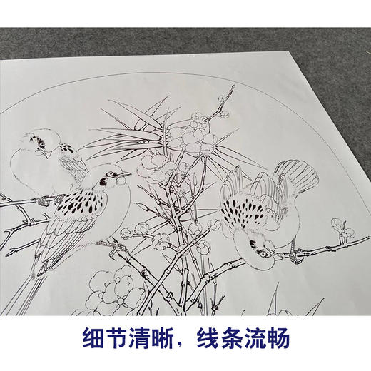 【有步骤、大彩图】李晓明工笔画白描底稿圆形小品《临宋梅竹戏雀图》梅花雀鸟临摹花鸟线稿KC04 商品图4