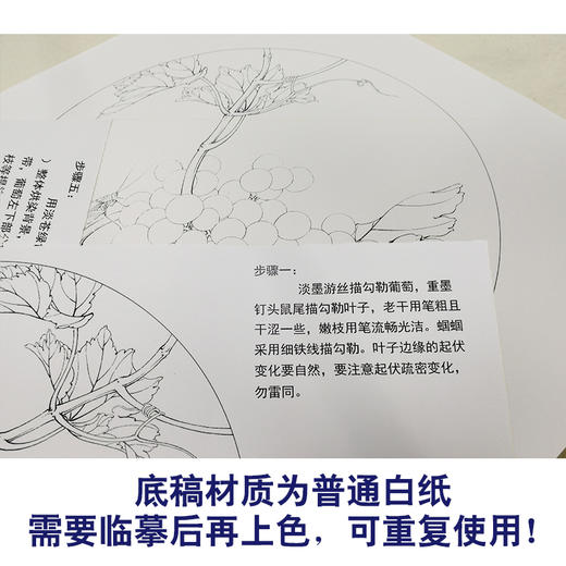 【有步骤、大彩图】李晓明工笔白描底稿圆形小品《葡萄草虫》蝈蝈初学者临摹花鸟线稿KB35 商品图3