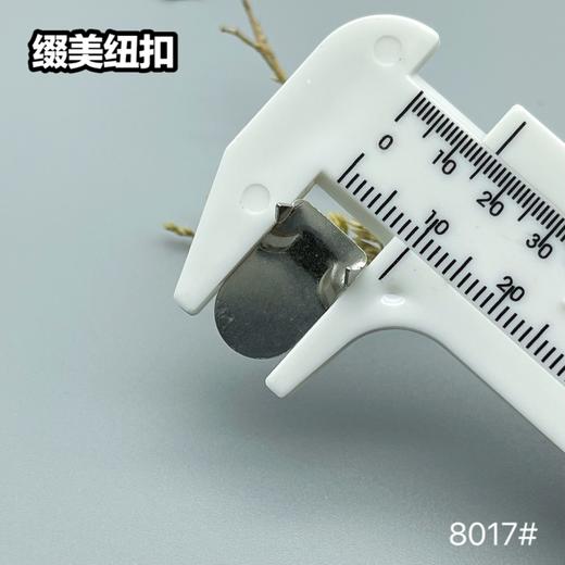 8017(整包购买) 商品图5