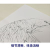 【有步骤、大彩图】李晓明工笔画白描底稿扇面小品《竹海清音》竹子初学者临摹花鸟线稿KB40 商品缩略图4
