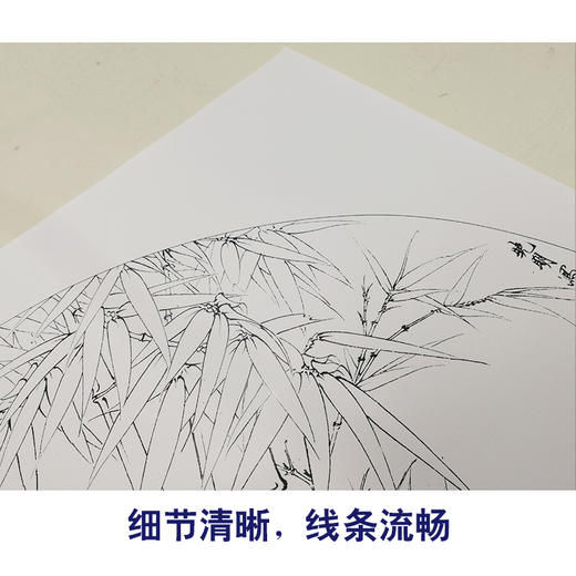 【有步骤、大彩图】李晓明工笔画白描底稿扇面小品《竹海清音》竹子初学者临摹花鸟线稿KB40 商品图4