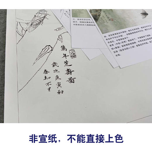 【有步骤、大彩图】李晓明工笔画白描底稿斗方小品《万年芝寿图》寿桃临摹勾线花鸟线稿KB22 商品图2