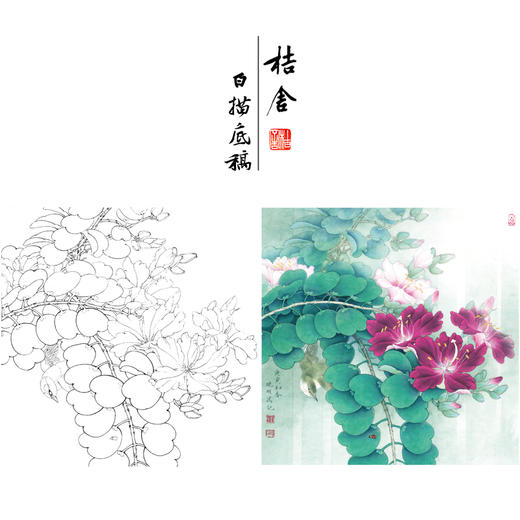 【有步骤、大彩图】李晓明工笔画白描底稿斗方《绣眼紫荆花》初学者高清打印稿KB30 商品图0