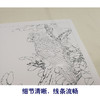 【有步骤、大彩图】李晓明工笔画白描底稿斗方《红叶鹦鹉图》临摹勾线花鸟线稿KB33 商品缩略图4