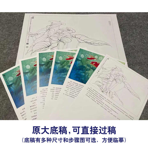 【有步骤、大彩图】李晓明工笔画白描底稿小品《红掌写生图》初学者临摹花鸟线稿KB12 商品图1