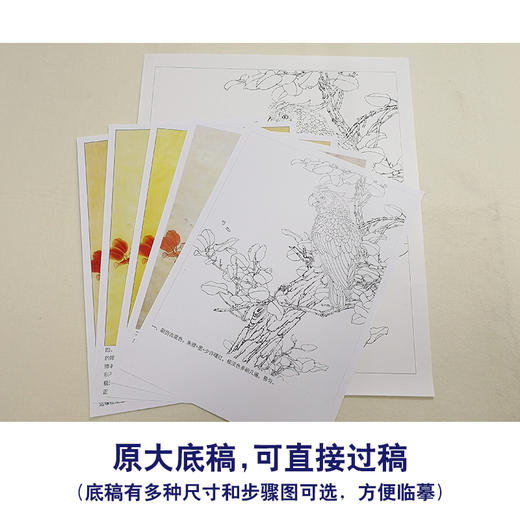 【有步骤、大彩图】李晓明工笔画白描底稿斗方《红叶鹦鹉图》临摹勾线花鸟线稿KB33 商品图1