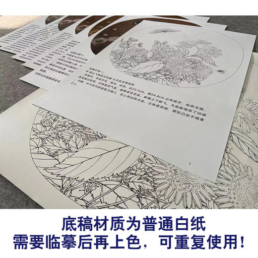 【有步骤、大彩图】李晓明工笔画白描底稿圆形小品《临宋菊丛飞蝶图》菊花蝴蝶初学者临摹花鸟线稿KC05 商品图3