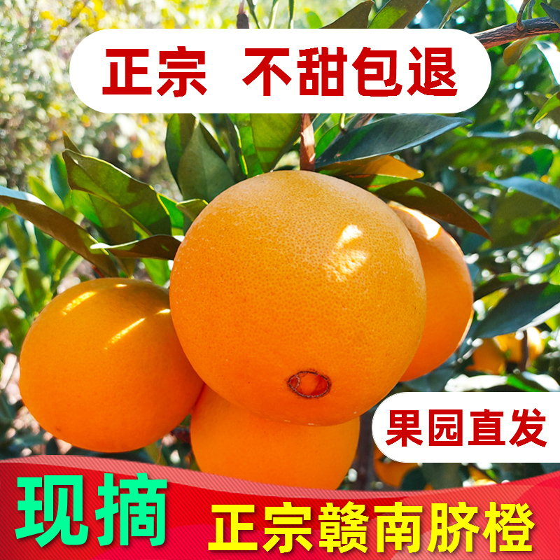 正宗赣南脐橙江西赣州橙子新鲜10斤装产地直发整箱当季水果（零下15度地区选择加保温袋）