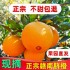 正宗赣南脐橙江西赣州橙子新鲜10斤装产地直发整箱当季水果（零下15度地区选择加保温袋） 商品缩略图0