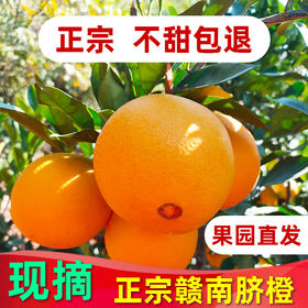 正宗赣南脐橙江西赣州橙子新鲜10斤装产地直发整箱当季水果（零下15度地区选择加保温袋）