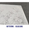 【有步骤、大彩图】李晓明工笔画白描底稿斗方小品《临宋螽斯绵瓞图》瓜果初学者临摹花鸟线稿KC17 商品缩略图4