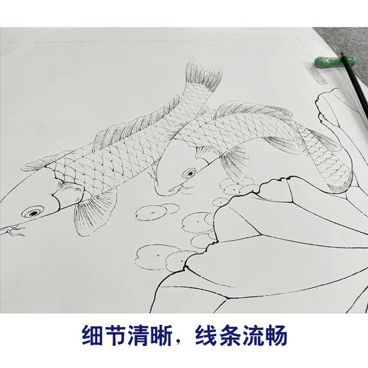 【有步骤、大彩图】李晓明工笔画白描稿斗方小品《连年有余图》荷花鲤鱼临摹勾线花鸟线稿KB21 商品图4