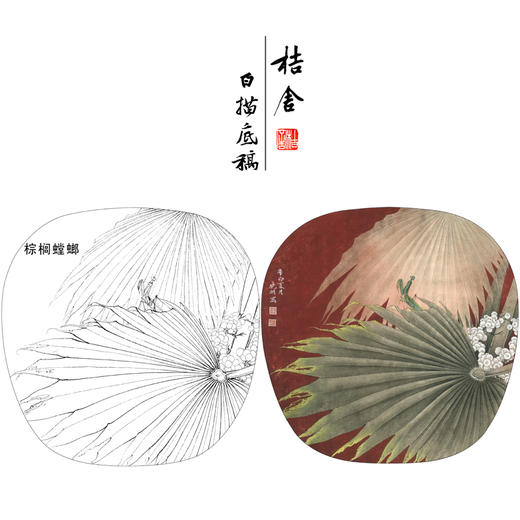 【有步骤、大彩图】李晓明工笔白描底稿小品《螳螂棕榈》初学者临摹花鸟线稿KB36 商品图0