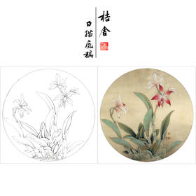【有步骤、大彩图】李晓明工笔画白描稿小品《卡特兰写真图》兰花临摹勾线花鸟线稿KB02