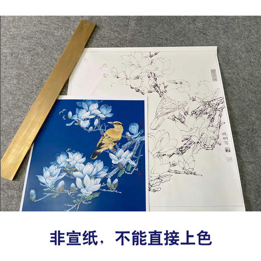 【有步骤、大彩图】李晓明工笔花鸟白描底稿斗方小品《玉兰黄鹂》初学者临摹高清打印稿KB25 商品图2