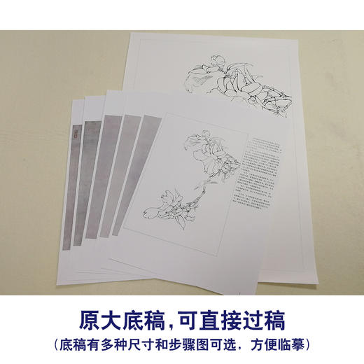 【有步骤、大彩图】李晓明工笔画白描稿《茶花白头》初学者临摹花鸟线稿KB17 商品图1