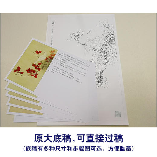 【有步骤、大彩图】李晓明工笔画白描底稿小品《红叶白斑鸠》临摹勾线高清打印稿KB13 商品图1