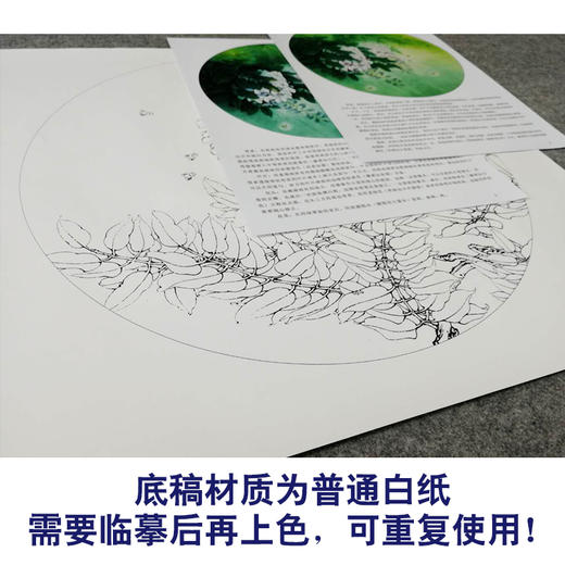 【有步骤、大彩图】李晓明工笔画白描底稿小品《新雨后》紫藤花临摹勾线花鸟线稿KB04 商品图3