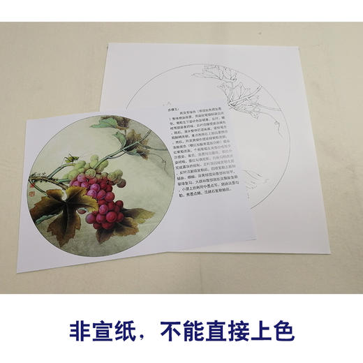 【有步骤、大彩图】李晓明工笔白描底稿圆形小品《葡萄草虫》蝈蝈初学者临摹花鸟线稿KB35 商品图2