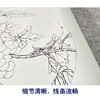 【有步骤、大彩图】李晓明工笔画白描底稿圆形《蝗虫葡萄图》临摹勾线高清打印稿 KB03 商品缩略图4