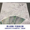 【有步骤、大彩图】李晓明工笔画白描底稿斗方小品《安居乐业图》牵牛花初学者临摹花鸟线稿KB26 商品缩略图1