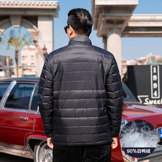 一口价【新款DK】大依优型大码立领轻薄羽绒服大号外套休闲胖子穿大码男加肥加大胖子上衣 商品图9