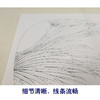 【有步骤、大彩图】李晓明工笔画白描底稿小品《蚱蜢棕榈》初学者临摹花鸟线稿KB37 商品缩略图4