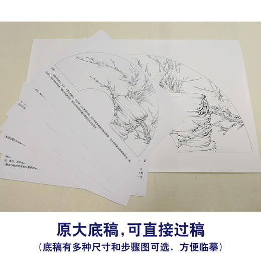 【有步骤、大彩图】李晓明工笔画白描底稿扇面《梅花》初学者临摹花鸟线稿KB39 商品图1
