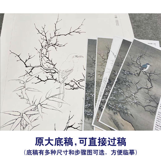 【有步骤、大彩图】李晓明工笔画白描底稿《临宋雪树寒禽图》伯劳鸟初学者临摹花鸟线稿KC24 商品图1