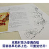 【有步骤、大彩图】李晓明工笔画白描底稿小品《红叶白斑鸠》临摹勾线高清打印稿KB13 商品缩略图3