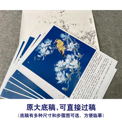 【有步骤、大彩图】李晓明工笔花鸟白描底稿斗方小品《玉兰黄鹂》初学者临摹高清打印稿KB25 商品图1
