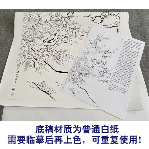 【有步骤、大彩图】李晓明工笔画白描底稿《临宋雪树寒禽图》伯劳鸟初学者临摹花鸟线稿KC24 商品图3