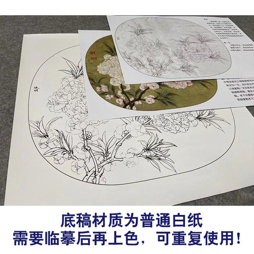 【有步骤、大彩图】李晓明工笔画白描底稿圆形小品《临宋碧桃图》桃花初学者临摹花鸟线稿KC27 商品图3