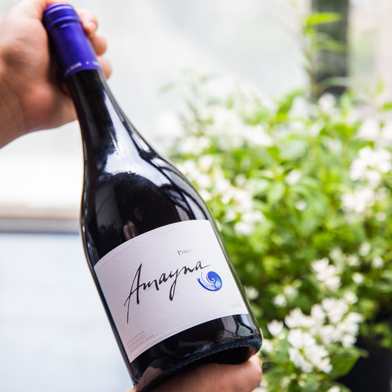 蓝色幻想黑皮诺干红葡萄酒2019年