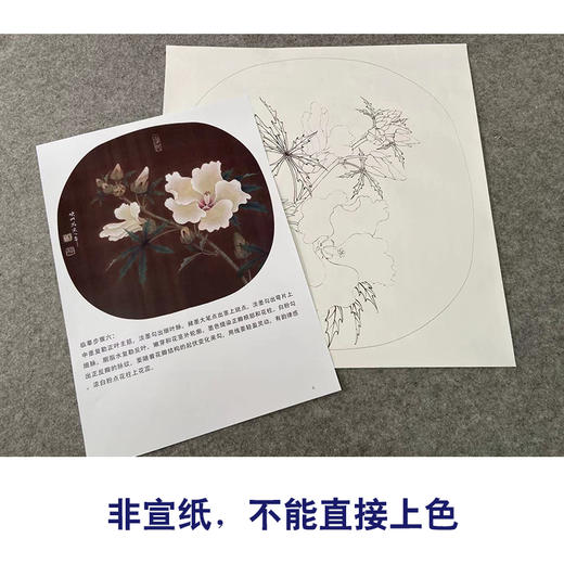 【有步骤、大彩图】李晓明工笔画白描底稿圆形小品《临宋秋葵图》秋葵花初学者临摹花鸟线稿KC07 商品图2
