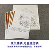 【有步骤、大彩图】李晓明工笔画白描底稿斗方小品《临宋海棠蛱蝶图》蝴蝶初学者临摹花鸟线稿KC13 商品缩略图1