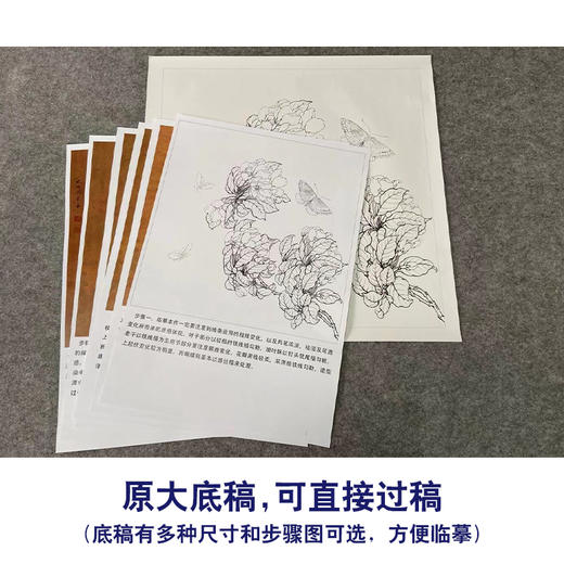 【有步骤、大彩图】李晓明工笔画白描底稿斗方小品《临宋海棠蛱蝶图》蝴蝶初学者临摹花鸟线稿KC13 商品图1