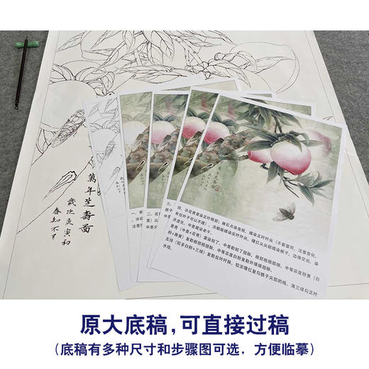 【有步骤、大彩图】李晓明工笔画白描底稿斗方小品《万年芝寿图》寿桃临摹勾线花鸟线稿KB22 商品图1