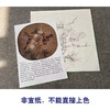 【有步骤、大彩图】李晓明工笔画白描底稿圆形小品《临宋梅竹戏雀图》梅花雀鸟临摹花鸟线稿KC04 商品缩略图2