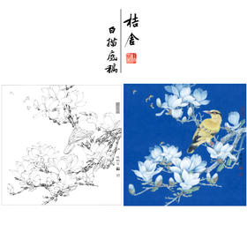 【有步骤、大彩图】李晓明工笔花鸟白描底稿斗方小品《玉兰黄鹂》初学者临摹高清打印稿KB25