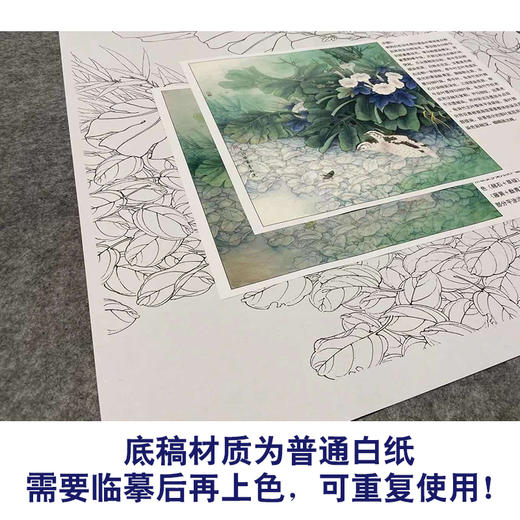 【有步骤、大彩图】李晓明工笔画白描底稿斗方小品《安居乐业图》牵牛花初学者临摹花鸟线稿KB26 商品图3