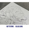 【有步骤、大彩图】李晓明工笔画白描底稿圆形小品《朱砂荷》荷花临摹勾线花鸟线稿KB06 商品缩略图4