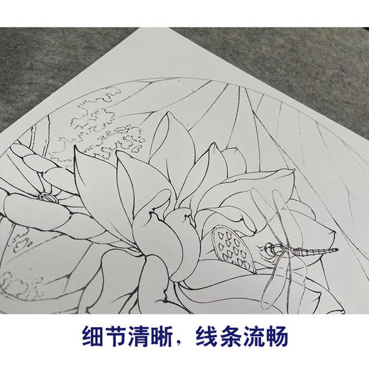 【有步骤、大彩图】李晓明工笔画白描底稿圆形小品《朱砂荷》荷花临摹勾线花鸟线稿KB06 商品图4