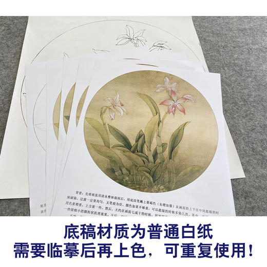 【有步骤、大彩图】李晓明工笔画白描稿小品《卡特兰写真图》兰花临摹勾线花鸟线稿KB02 商品图3